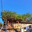 여수한옥체험관 이미지