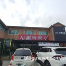 진천카페 도마뱀카페 오르다 / 크레스티드 게코도마뱀 2마리 분양후기