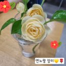쌍둥이 배우 류효영, 류화영 언니 생일 선물은? 연노랑 장미(2025.04.22, 화)
