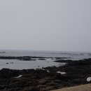 써니빌리조트