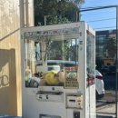 제주애견카페 초록동산 이미지