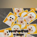 와사비사진관 이미지