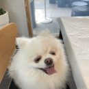 태안사랑회센타 이미지