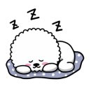 루이비숑 이미지