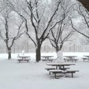 카페멍날 이미지