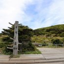 (주)늘푸른여행사 Daum카페