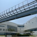광어부인정때문에 | 월미도 맛집 광어부인 정때문에/신선한 회와 시원한 물회, 든든한 칼국수까지