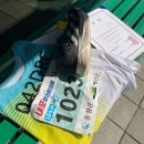 2026 내포 마라톤 10km 완주 후기 ( 35분 15초 )