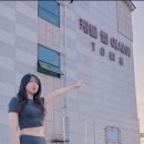 야채선수