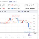 (주)셀피글로벌 이미지