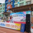 대구효목초등학교 총동창회 체육대회 이미지