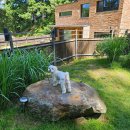 양평소나무펜션 이미지