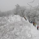 백두대장정
