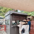☆ 보령 죽도 "상화원" 및 대천해수욕장 걷기 사진!!! 이미지