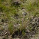 제주하늘지기 이미지