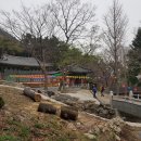 천주산 만남의 광장 이미지