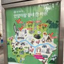 자유공원 지석묘 이미지