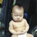 검도교실경당 이미지