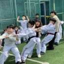 박사 K 태권도 이미지