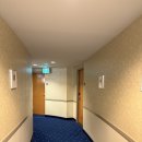 호텔월 | 캐나다 밴쿠버 다운타운 쉐라톤 밴쿠버 월 센터 호텔 이용후기(Sheraton Vancouver Wall centre)