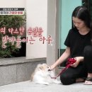 (주)아루 이미지