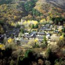섬진강와송 | 79. 선암사(仙巖寺)는 숲속에.