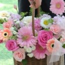 더 피올라 플라워 이미지