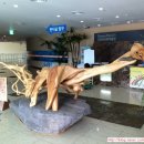 해남공룡박물관 이미지