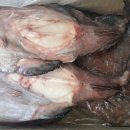 엠브이피 이미지