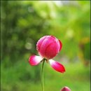 제너럴케어 이미지