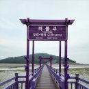 신안 퍼플교 퍼플섬. 반월도 박지도 탐방. 퍼플섬 입장료 시간 무료입장 방법 주차