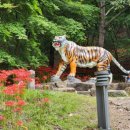 불갑사 관광안내소 이미지