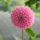 화인메트로병원 이미지