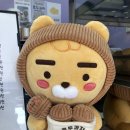 사르르호두 이미지
