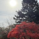 주식회사 가치채움