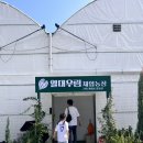 우림농장2 이미지