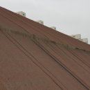 야탑중학교 이미지