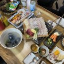 국내 뚜벅이 여행 :: 강릉 (1) 안목해변, 동화가든, 경포호수 튤립