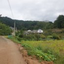 나래민박 이미지