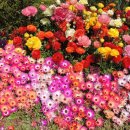 마음의 문 이미지