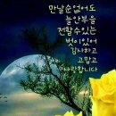 예쁜하루 - 서구 | 예쁜하루