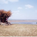 솔롱고스 이미지