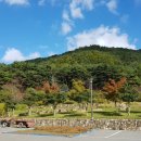 유림-1134 이미지