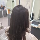 핑크 헤어샵 이미지