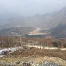 동강전망자연휴양림 이미지