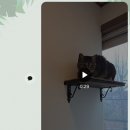 묘한쉼터 이미지