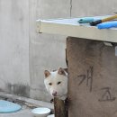짬뽕광장 이미지