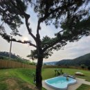 빵순돌이네 하우스 이미지