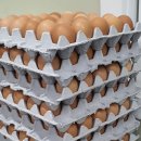 정일식품 이미지