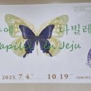 홍양(주) | ENFP 아내와 ISTJ 남편이 사는 얘기